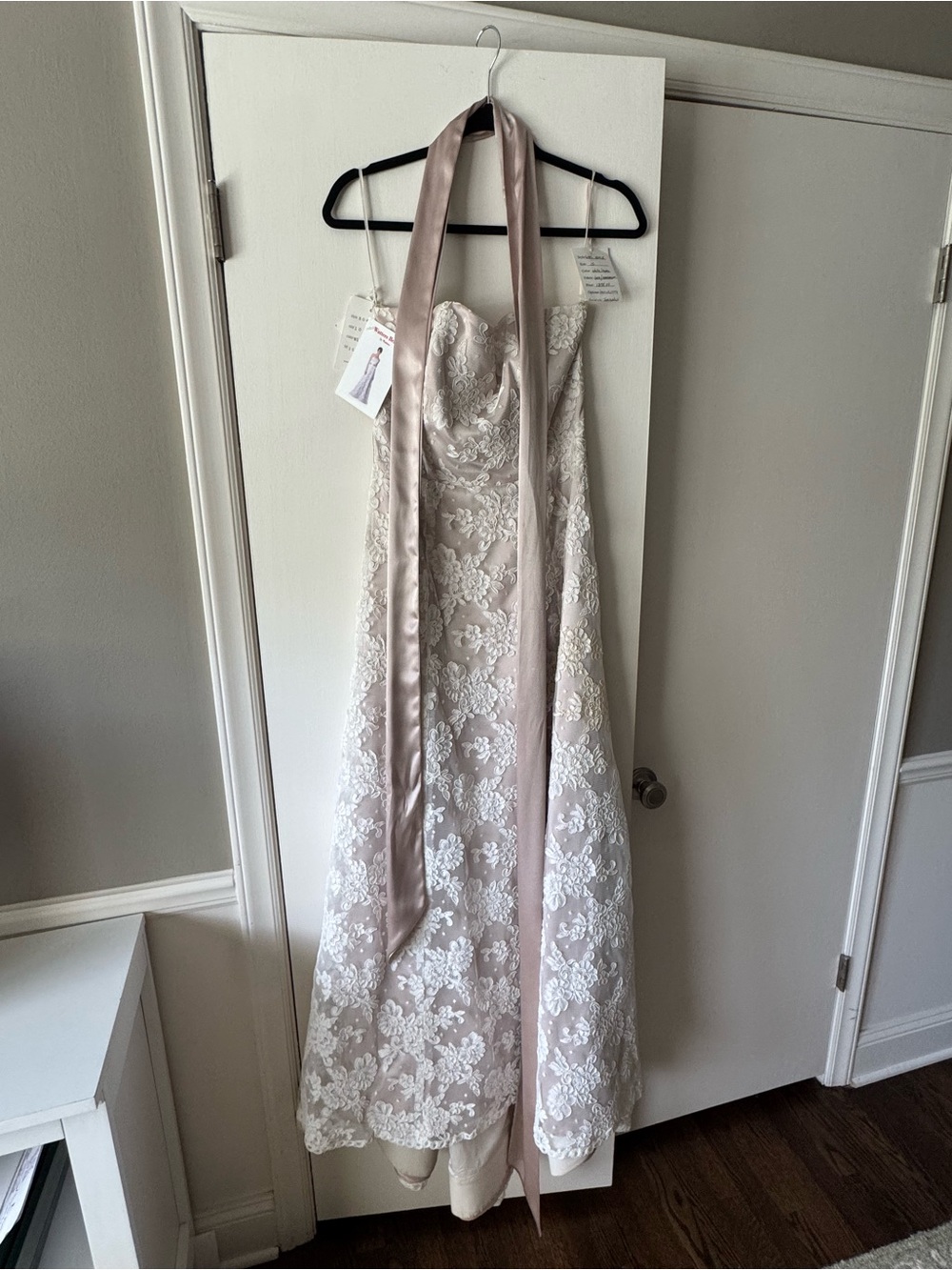 Watters Lace Maxi Dress in Blush and White
